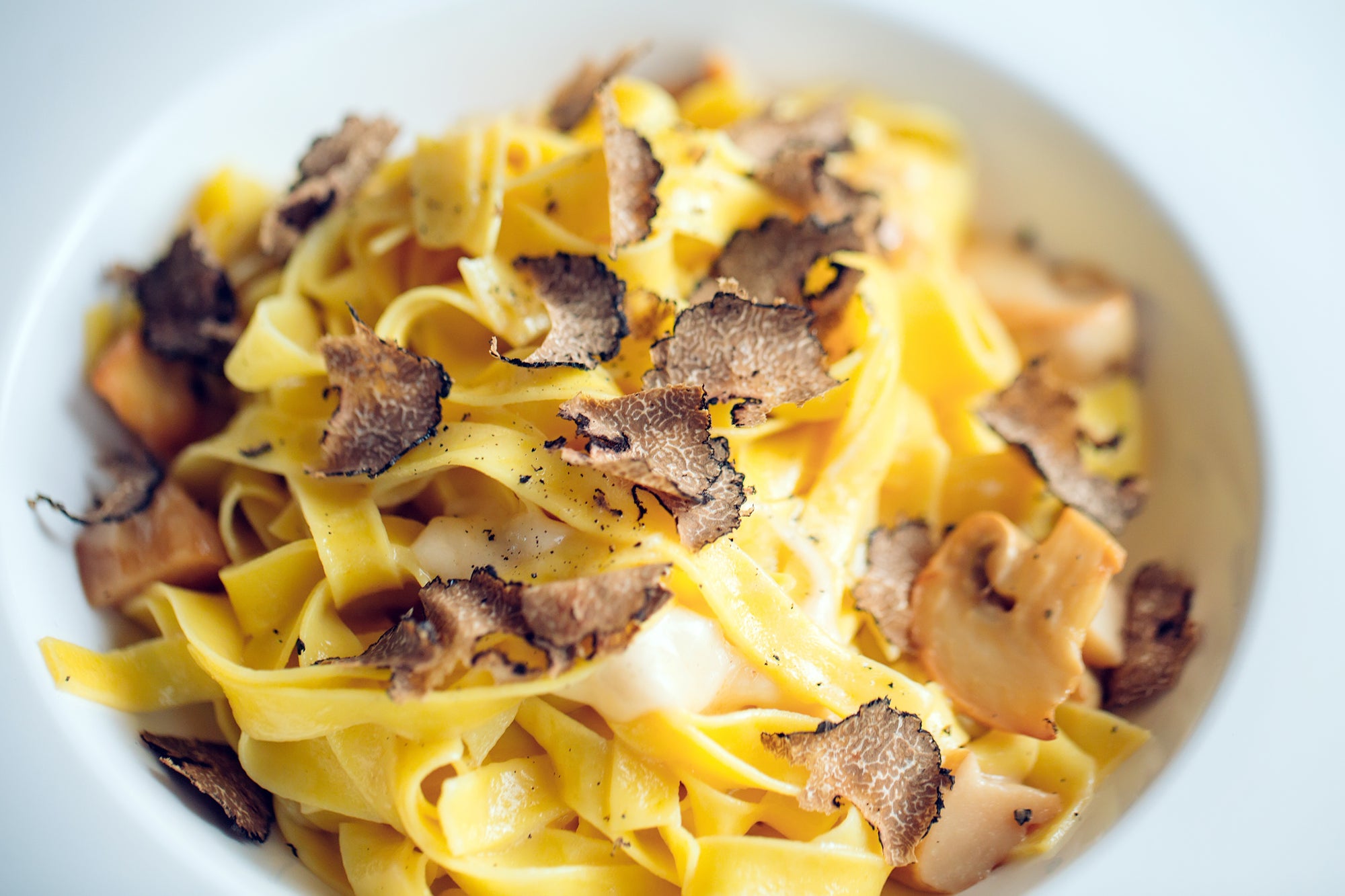 What’s the Difference Between Black and White Truffles?