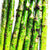 Sumac Roasted Asparagus (Vegan)