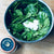 spinach salad with garlic and parsley sea salt